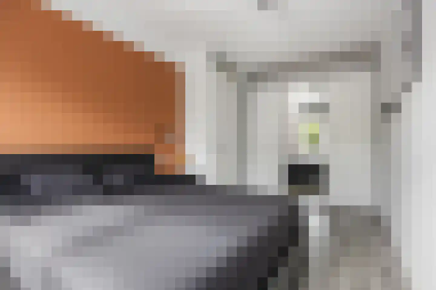 Hondsdraf 10 Voorthuizen thumbnail 19