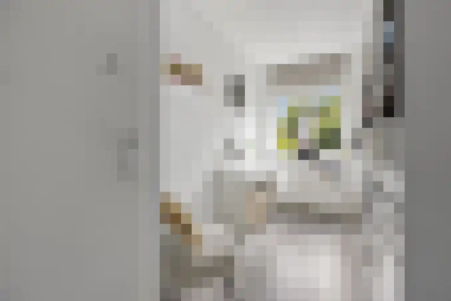 Hondsdraf 10 Voorthuizen thumbnail 20