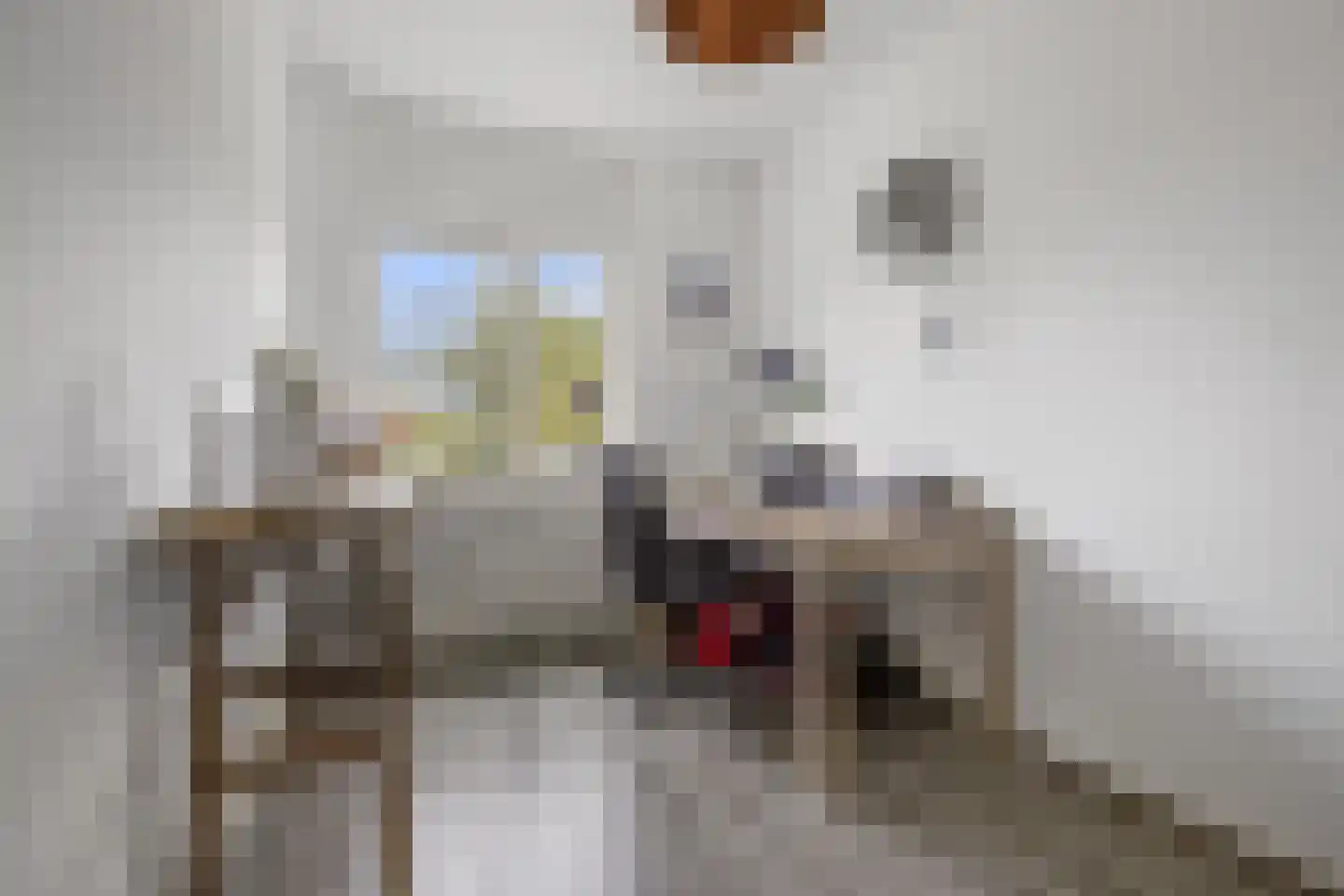 Hondsdraf 10 Voorthuizen thumbnail 21