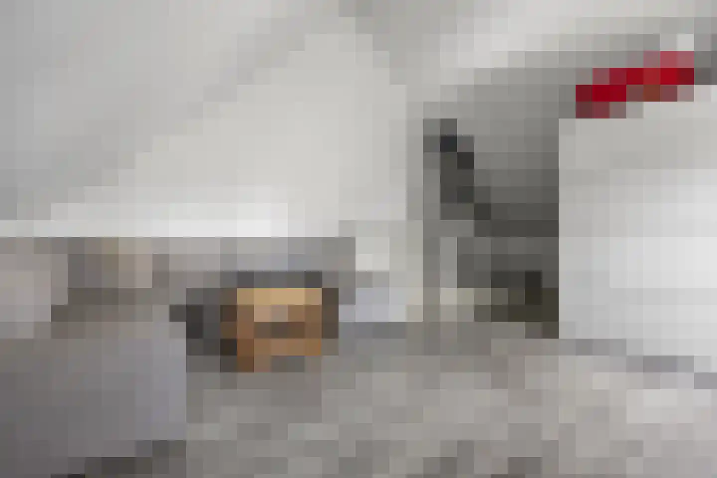 Hondsdraf 10 Voorthuizen thumbnail 26