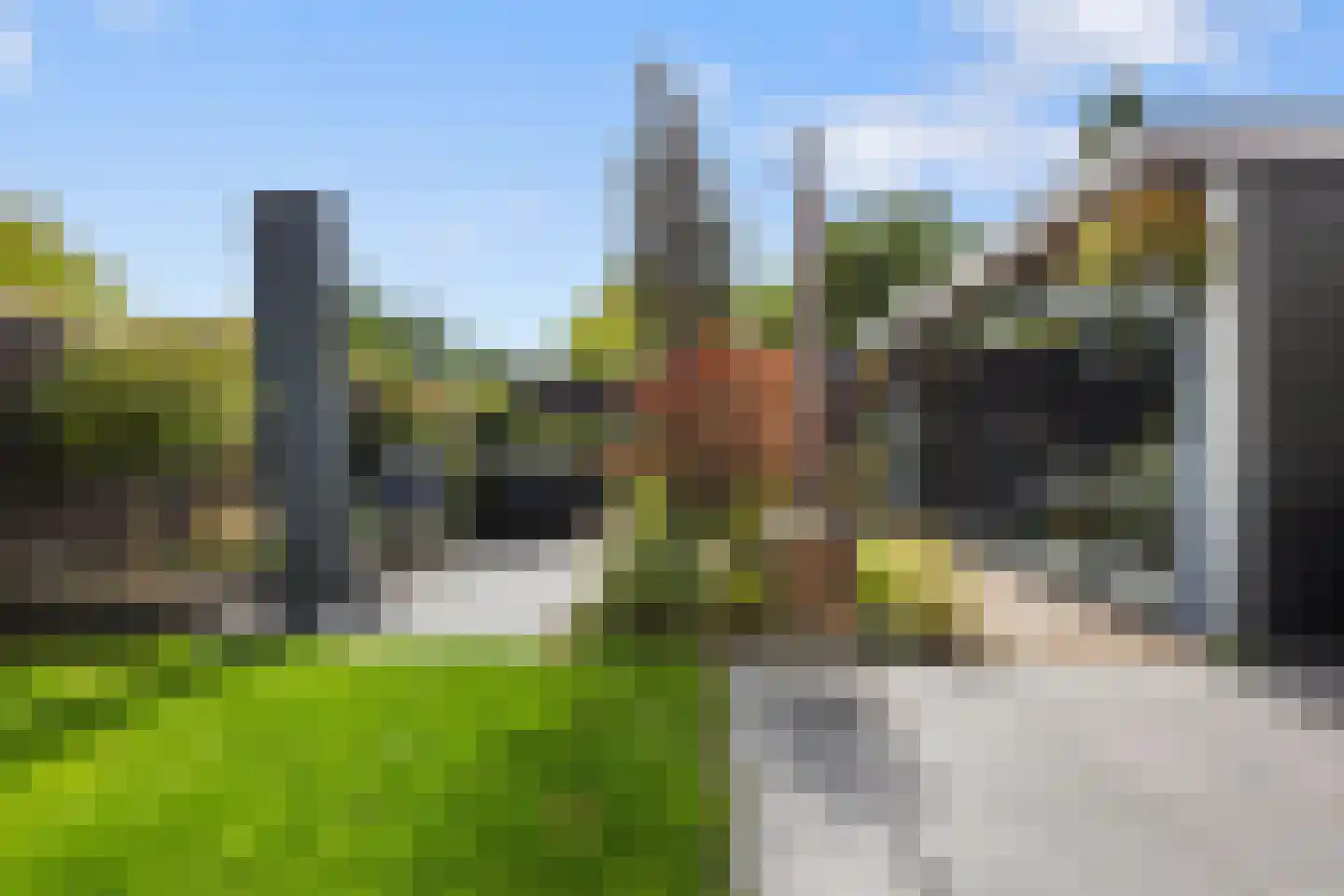 Hondsdraf 10 Voorthuizen thumbnail 27