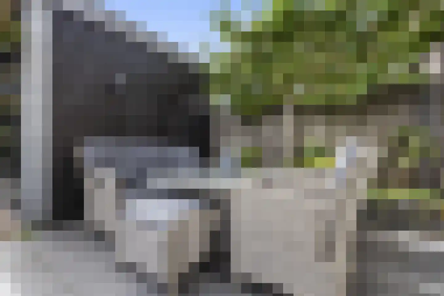 Hondsdraf 10 Voorthuizen thumbnail 29