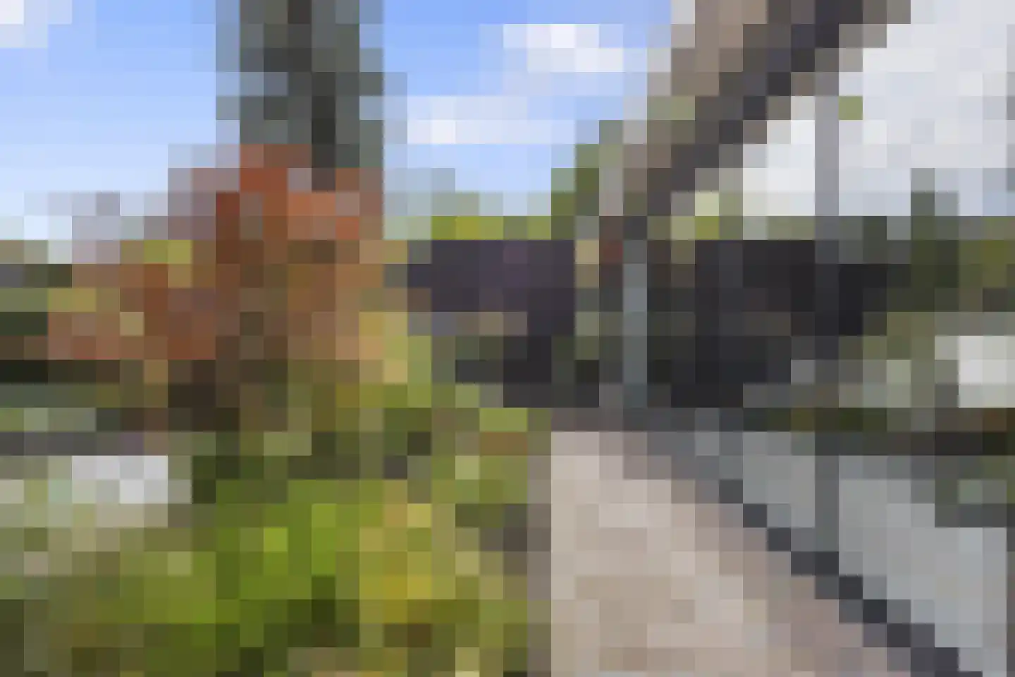 Hondsdraf 10 Voorthuizen thumbnail 30