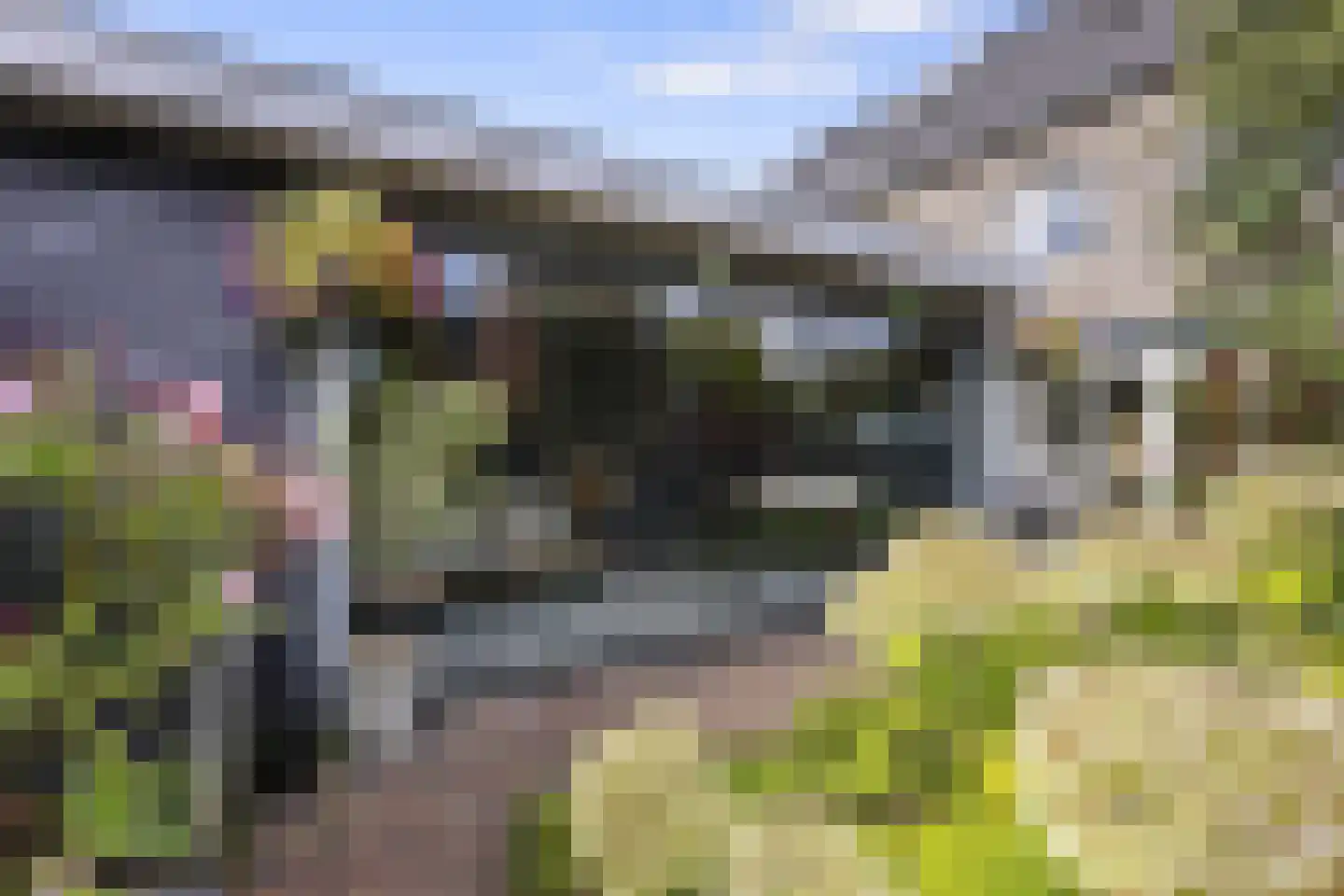 Hondsdraf 10 Voorthuizen thumbnail 31