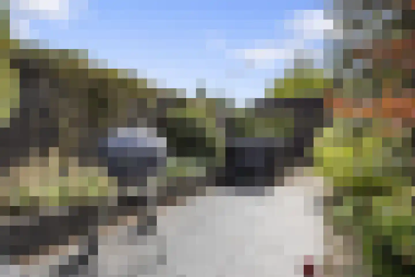Hondsdraf 10 Voorthuizen thumbnail 37