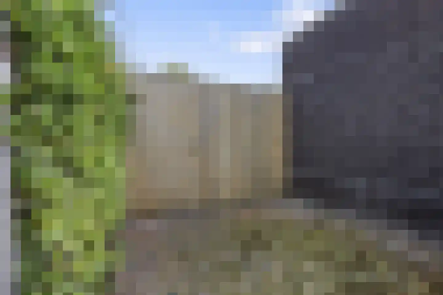 Hondsdraf 10 Voorthuizen thumbnail 39