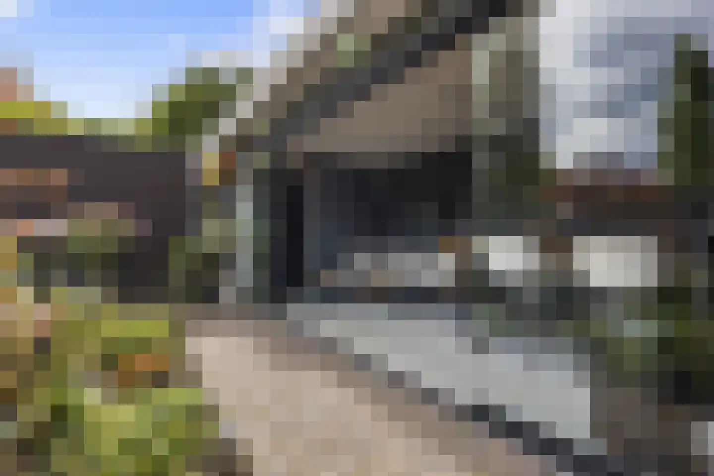 Hondsdraf 10 Voorthuizen thumbnail 4