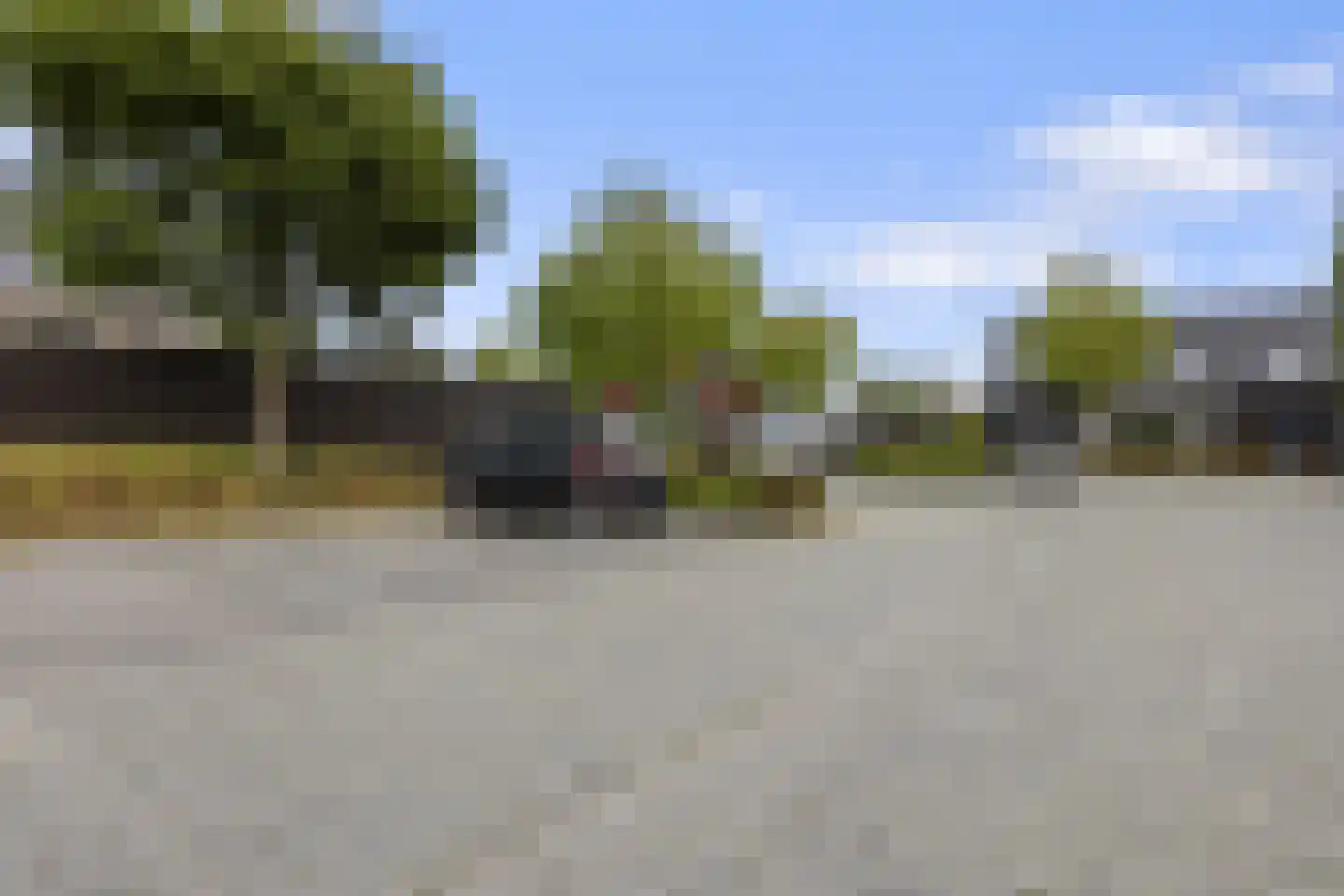 Hondsdraf 10 Voorthuizen thumbnail 42