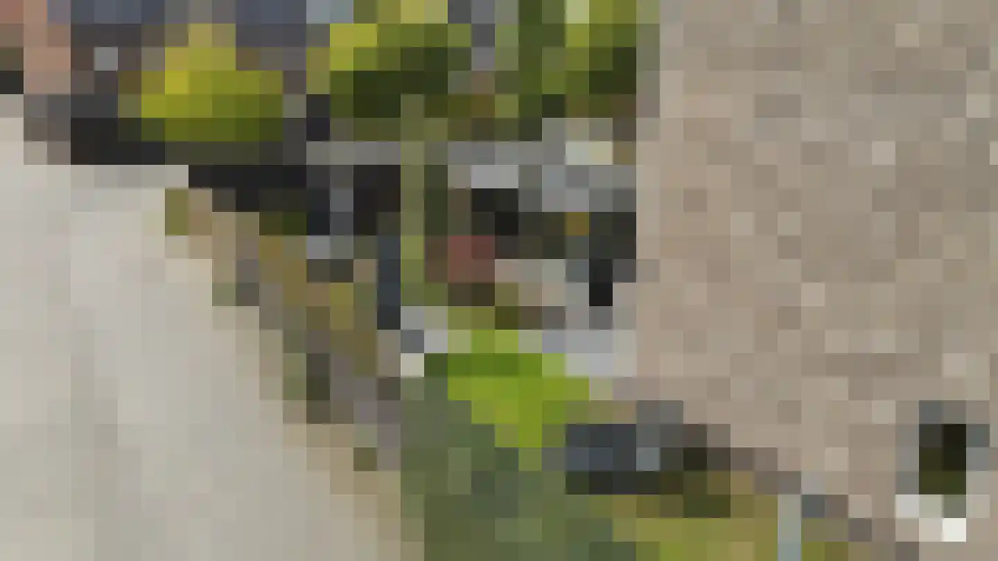 Hondsdraf 10 Voorthuizen thumbnail 43