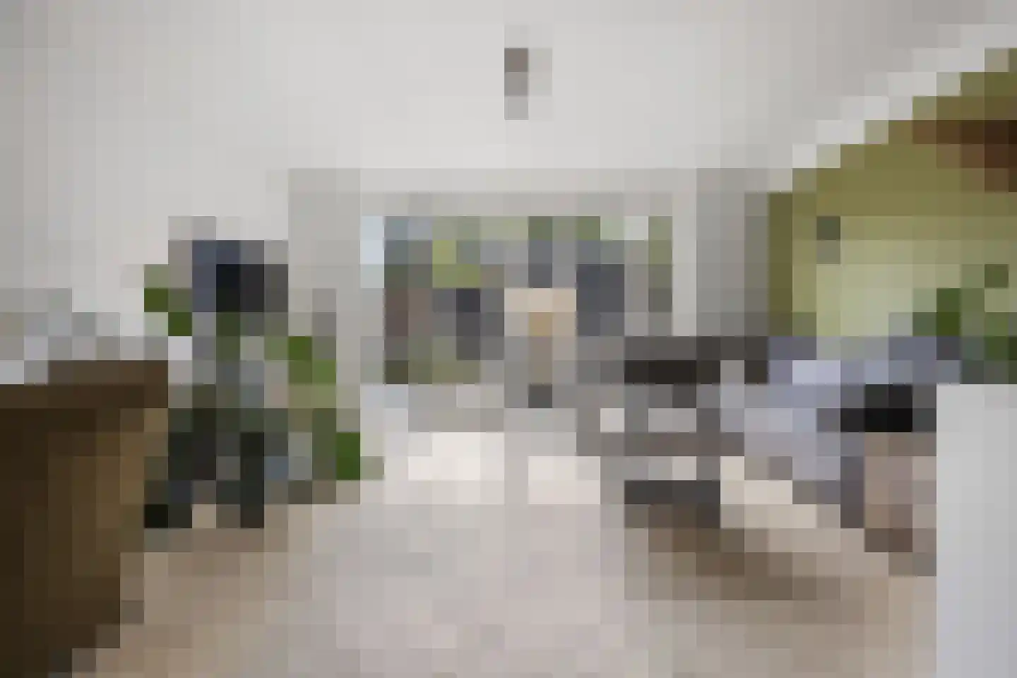 Hondsdraf 10 Voorthuizen thumbnail 9