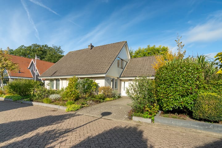 Hondsdraf 12 in Delden Foto