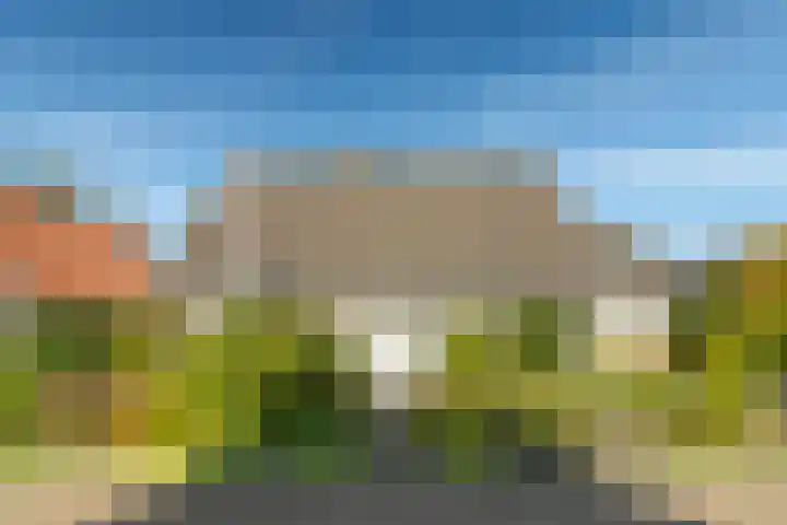 Hondsdraf 12 Delden thumbnail 12