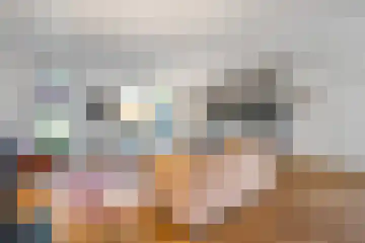 Hondsdraf 12 Delden thumbnail 23