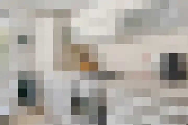 Hondsdraf 12 Delden thumbnail 30