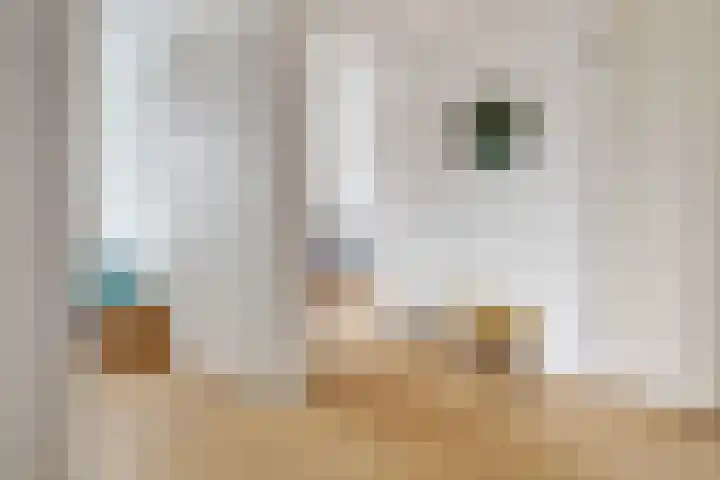 Hondsdraf 12 Delden thumbnail 36
