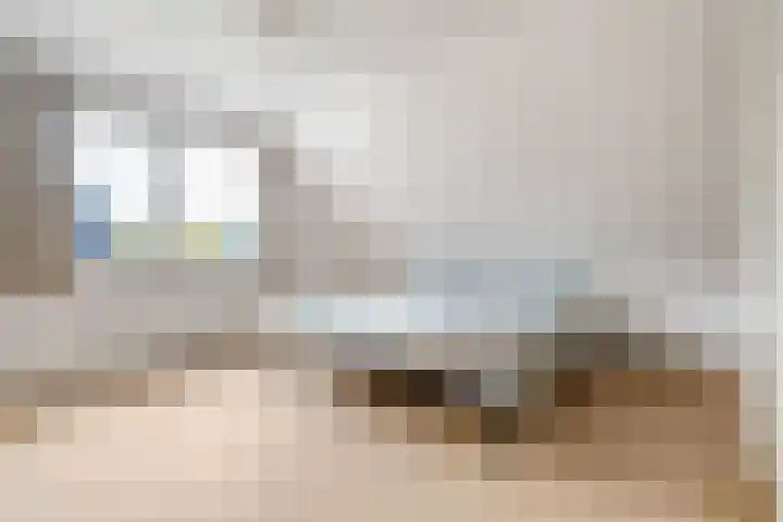 Hondsdraf 12 Delden thumbnail 37