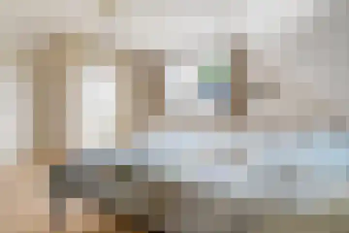 Hondsdraf 12 Delden thumbnail 38