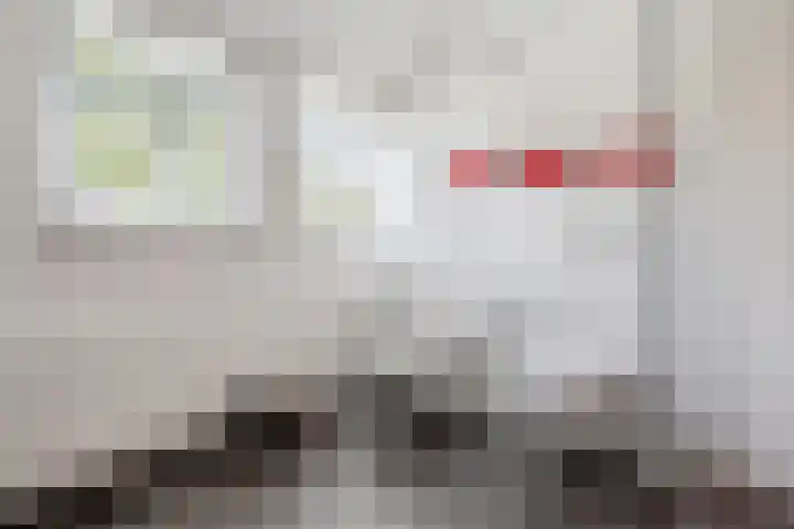 Hondsdraf 12 Delden thumbnail 47
