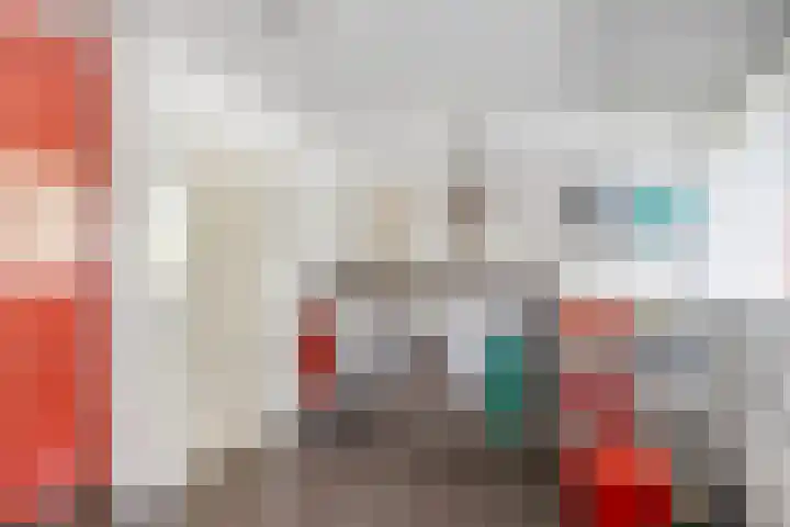 Hondsdraf 12 Delden thumbnail 48