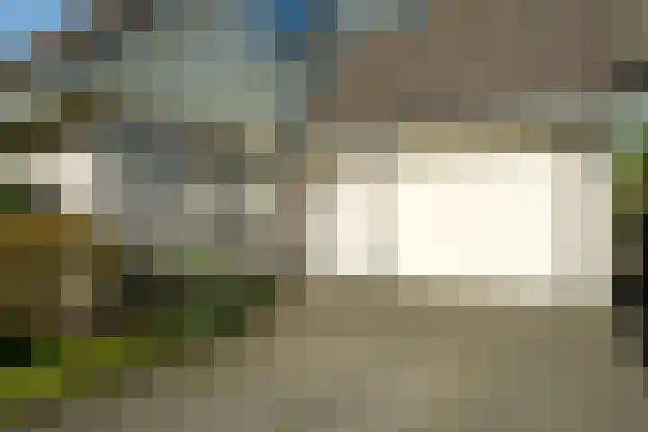 Hondsdraf 12 Delden thumbnail 8