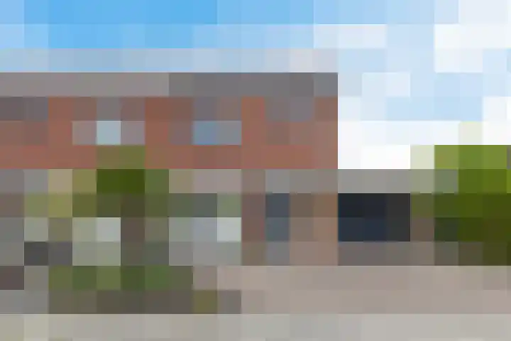Hondsdraf 12 Delfzijl thumbnail 10