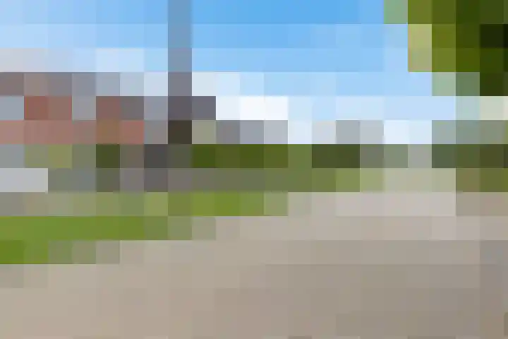 Hondsdraf 12 Delfzijl thumbnail 11
