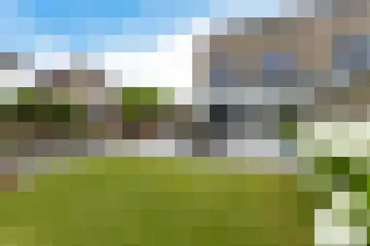 Hondsdraf 12 Delfzijl thumbnail 13