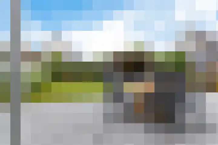 Hondsdraf 12 Delfzijl thumbnail 15