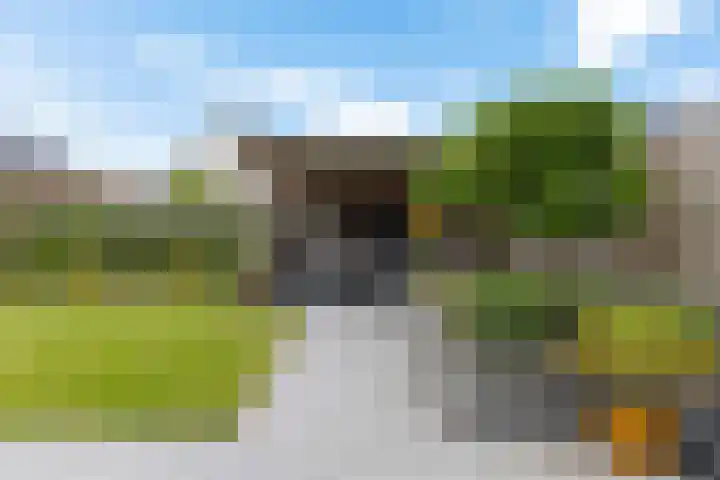 Hondsdraf 12 Delfzijl thumbnail 16