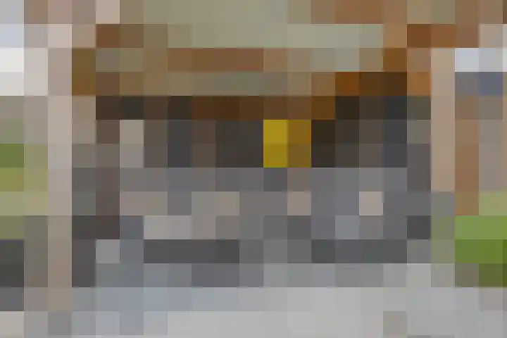 Hondsdraf 12 Delfzijl thumbnail 18