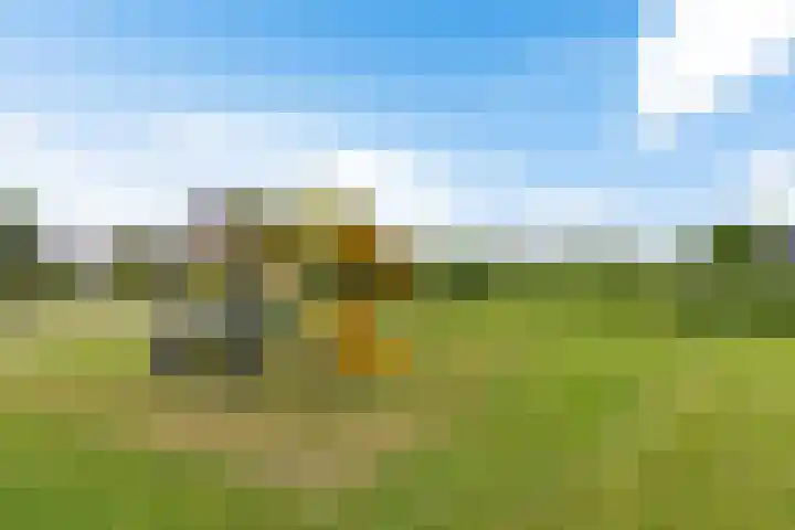 Hondsdraf 12 Delfzijl thumbnail 20