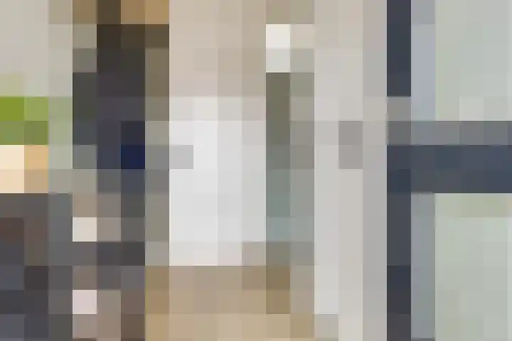 Hondsdraf 12 Delfzijl thumbnail 22