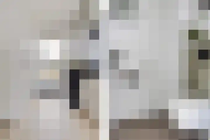Hondsdraf 12 Delfzijl thumbnail 23