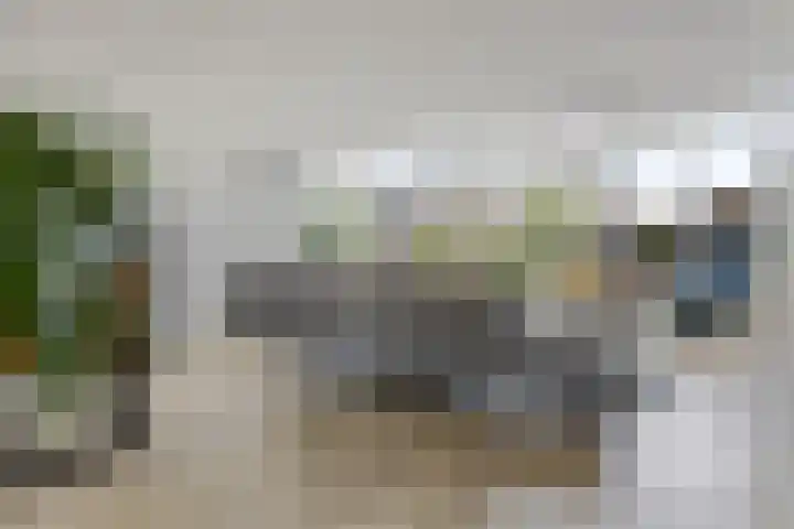 Hondsdraf 12 Delfzijl thumbnail 24