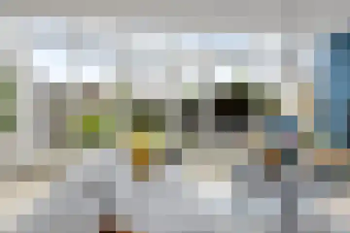 Hondsdraf 12 Delfzijl thumbnail 25