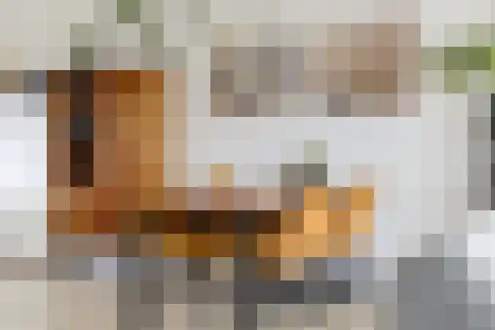 Hondsdraf 12 Delfzijl thumbnail 30
