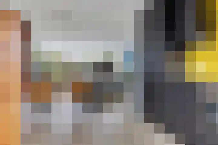 Hondsdraf 12 Delfzijl thumbnail 31