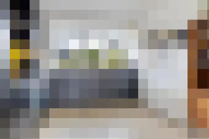 Hondsdraf 12 Delfzijl thumbnail 32
