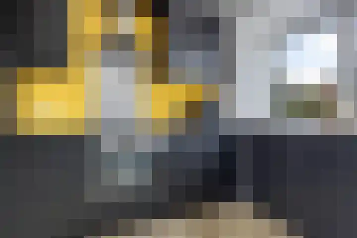 Hondsdraf 12 Delfzijl thumbnail 33