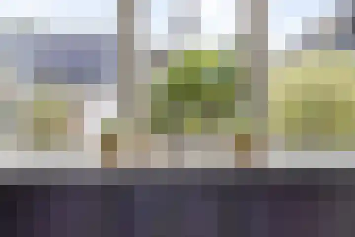 Hondsdraf 12 Delfzijl thumbnail 34