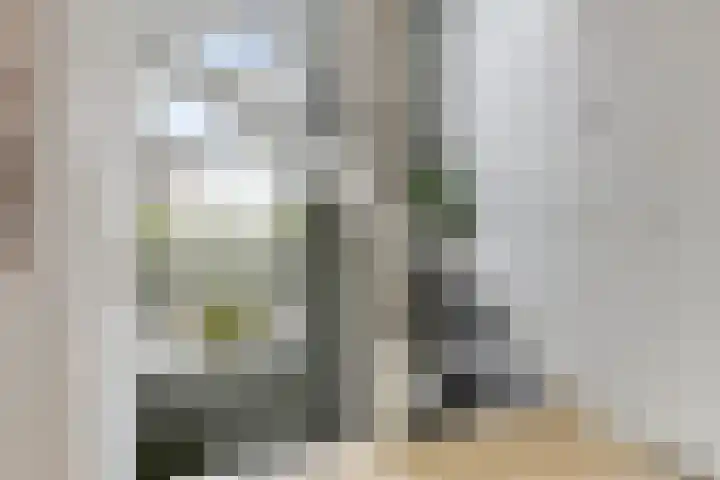 Hondsdraf 12 Delfzijl thumbnail 36