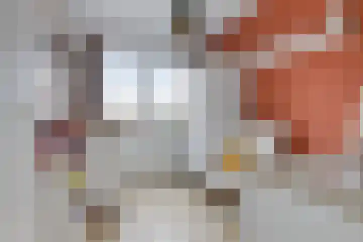Hondsdraf 12 Delfzijl thumbnail 39