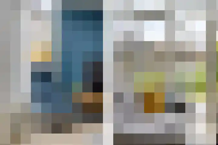Hondsdraf 12 Delfzijl thumbnail 4