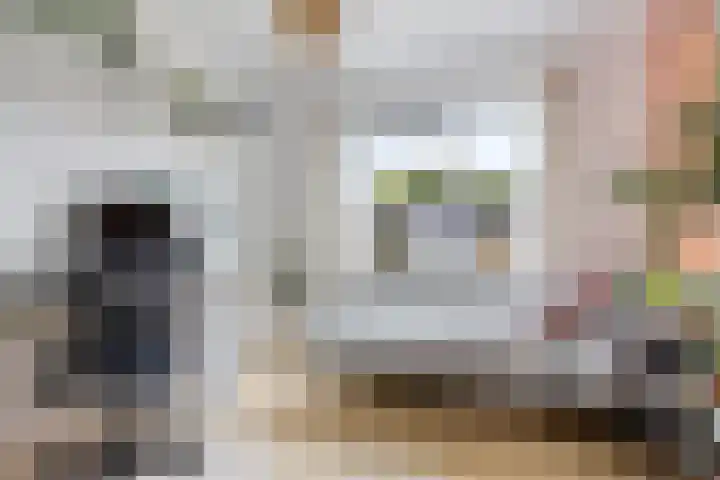 Hondsdraf 12 Delfzijl thumbnail 40