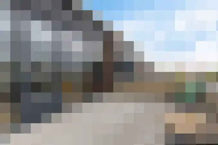 Hondsdraf 12 Delfzijl thumbnail 47