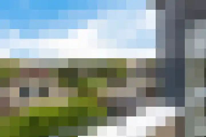 Hondsdraf 12 Delfzijl thumbnail 48