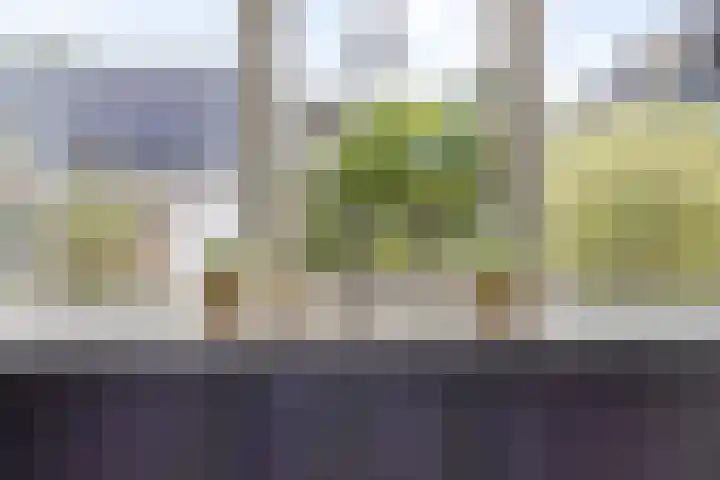 Hondsdraf 12 Delfzijl thumbnail 6