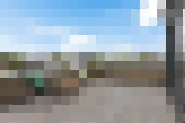 Hondsdraf 12 Delfzijl thumbnail 8