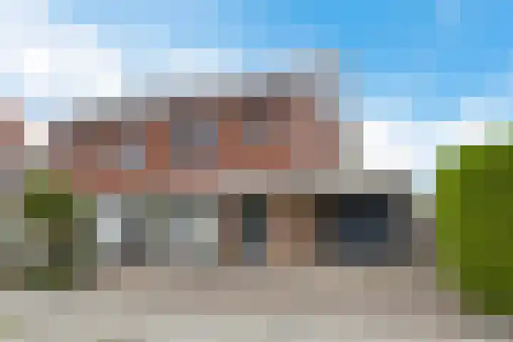 Hondsdraf 12 Delfzijl thumbnail 9