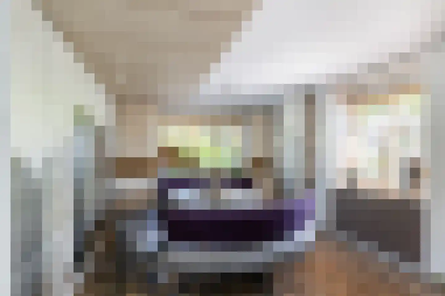 Hondsdraf 13 Naaldwijk thumbnail 10